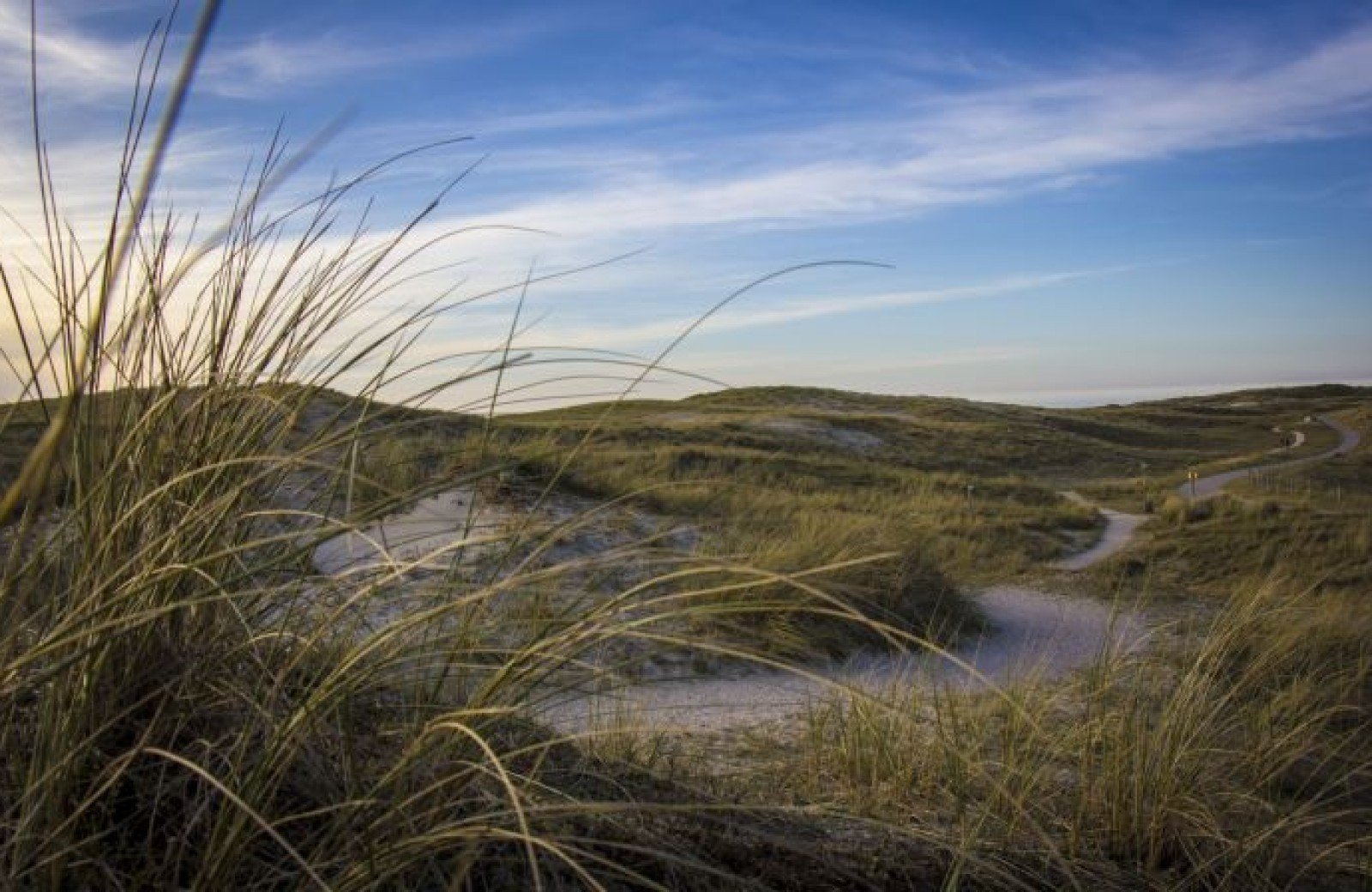 Camping Dünen Holland