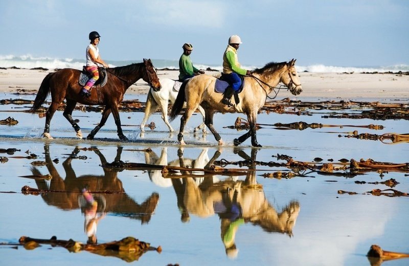 Reiten am Strand